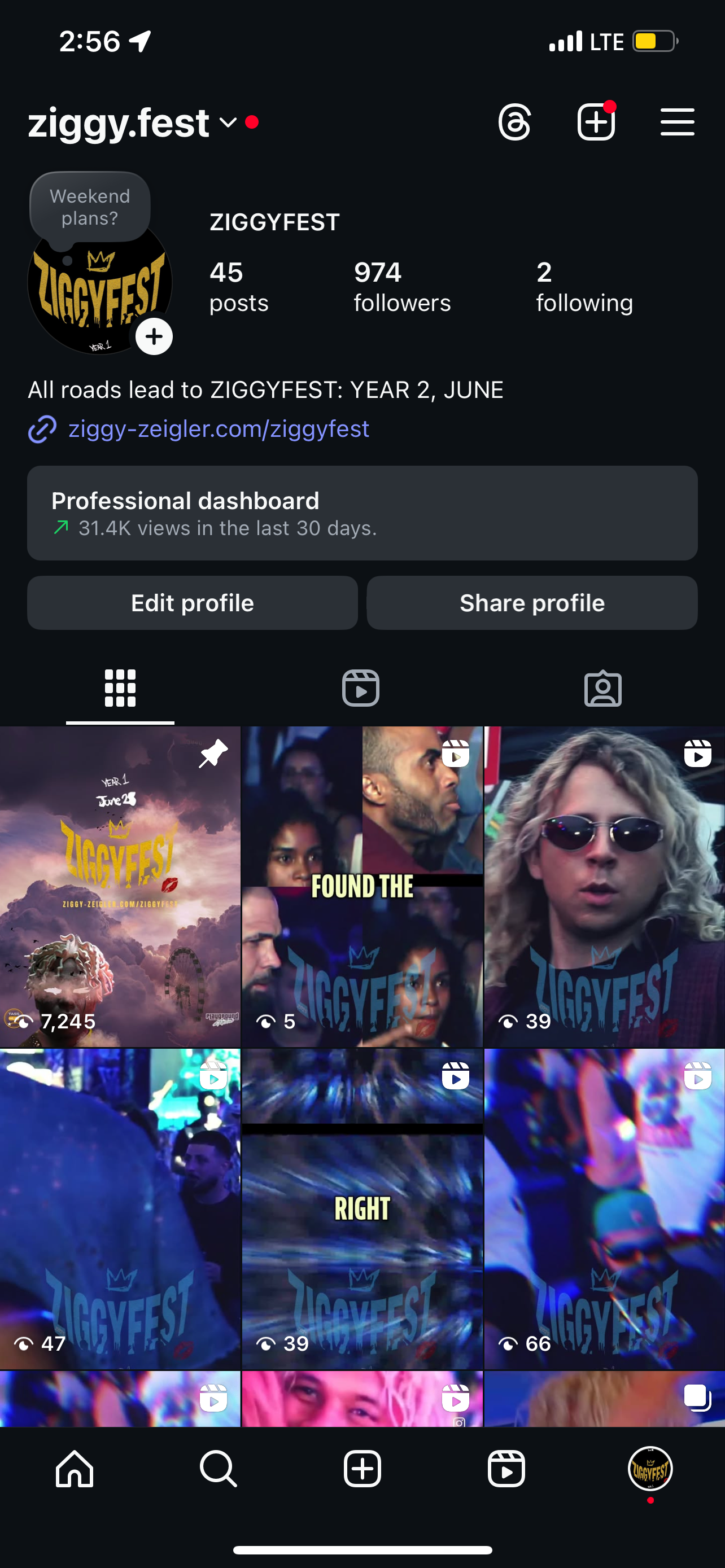 ZiggyFest Instagram analytics